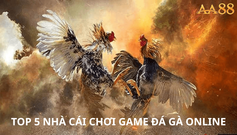 Top 5 nhà cái chơi game đá gà online