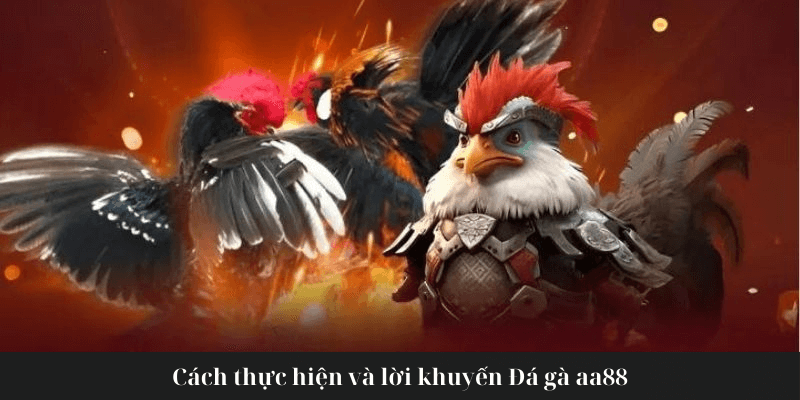 Cách thực hiện Đá gà aa88 và các lời khuyên của bạn